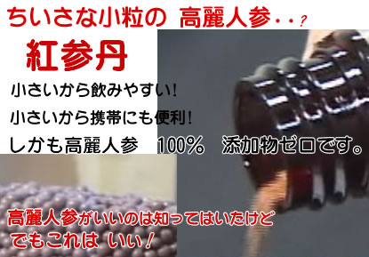 高麗人参 紅参丹