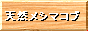 天然メシマコブ